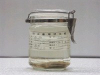 藏品(絲鰺)的圖片